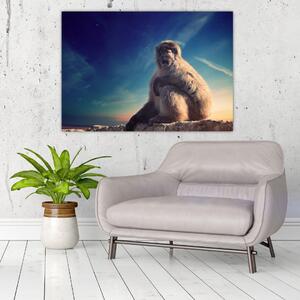 Obraz opice - obrazy zvierat (Obraz 60x40cm)