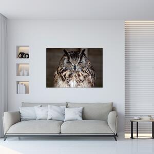 Obrazy - sova (Obraz 60x40cm)