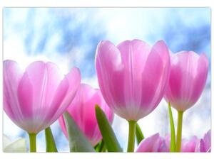 Obraz ružových tulipánov (Obraz 60x40cm)