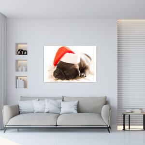 Obraz psa s čiapkou (Obraz 60x40cm)