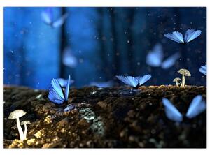Obraz - modrí motýle (Obraz 60x40cm)