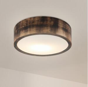 Brilagi - Stropné svietidlo CARVALHO SMOKEY 1xE27/60W/230V dub pr. 27,5 cm
