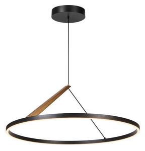 Rabalux 72352 - LED závesný luster na lanku RENARA LED/40W/230V 3000K