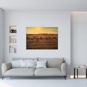 Obraz - panoráma krajiny na stenu (Obraz 60x40cm)