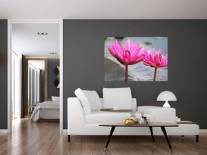 Obraz dvoch kvetov (Obraz 60x40cm)