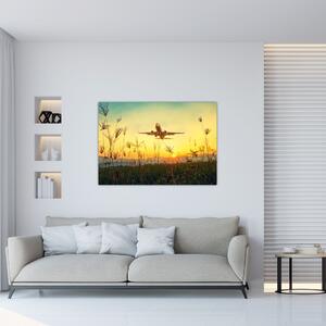 Obraz s lietadlom na stenu (Obraz 60x40cm)