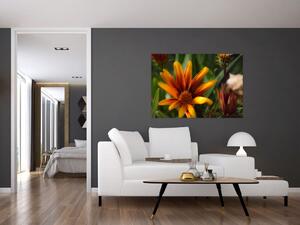 Obraz detailu kvety (Obraz 60x40cm)