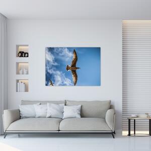 Obraz letiaceho vtáka (Obraz 60x40cm)