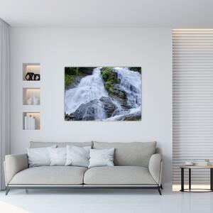 Obraz s vodopádmi na stenu (Obraz 60x40cm)