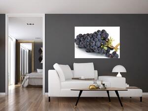 Obraz s hroznovým vínom (Obraz 60x40cm)