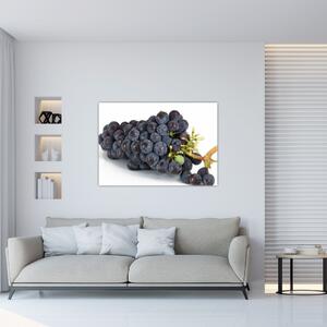 Obraz s hroznovým vínom (Obraz 60x40cm)