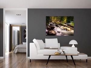 Obraz lesa na stenu (Obraz 60x40cm)