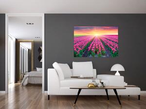Obraz - polia kvetov (Obraz 60x40cm)