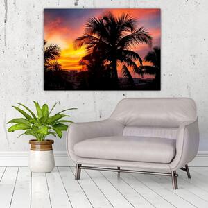 Obraz palmy na stenu (Obraz 60x40cm)