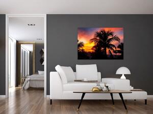 Obraz palmy na stenu (Obraz 60x40cm)