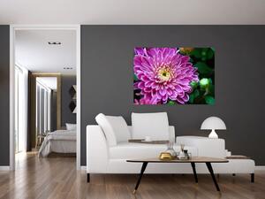 Obraz kvetu na stenu (Obraz 60x40cm)