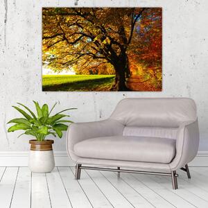 Obraz jesennej krajiny (Obraz 60x40cm)