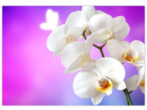 Obraz s orchideí (Obraz 60x40cm)