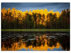 Obraz - jesenná krajina (Obraz 60x40cm)