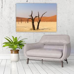 Obraz púšte (Obraz 60x40cm)