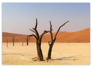 Obraz púšte (Obraz 60x40cm)