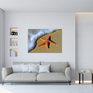 Obraz s morskou hviezdou (Obraz 60x40cm)