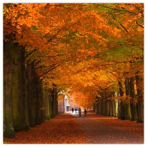 Obraz cesty lesom na jeseň (Obraz 30x30cm)