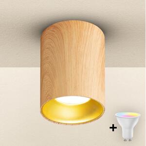 Brilagi - LED RGBW Stmievateľné bodové svietidlo TRINE 1xGU10/4,8W/230V dubový dekor