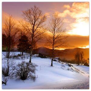 Obraz zimnej krajiny (Obraz 30x30cm)