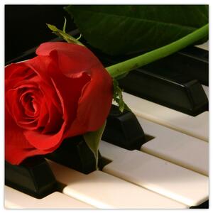 Obraz ruže na klavíri (Obraz 30x30cm)