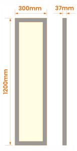 LED prisadený panel LED/60W/230V 30x120 cm čierny