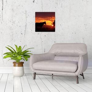 Obraz - kone pri západe slnka (Obraz 30x30cm)