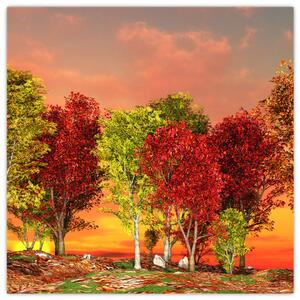Obraz prírody - farebné stromy (Obraz 30x30cm)