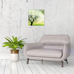Jarný strom - moderný obraz (Obraz 30x30cm)