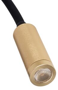Kanlux 32519 - LED flexibilná lampička TONIL LED/3,3W/230V čierna/zlatá