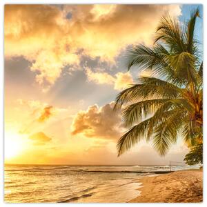 Obraz palmy na piesočnatej pláži (Obraz 30x30cm)