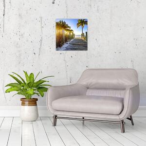Moderný obraz do bytu - tropický raj (Obraz 30x30cm)