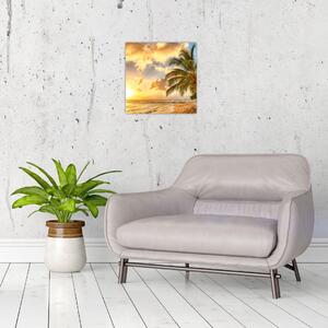 Obraz palmy na piesočnatej pláži (Obraz 30x30cm)
