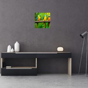 Moderný obraz - papagáje (Obraz 30x30cm)