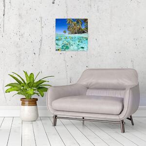 Obraz tropického mora (Obraz 30x30cm)
