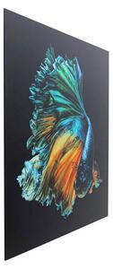 Queen Fish obraz sklenený viacfarebný