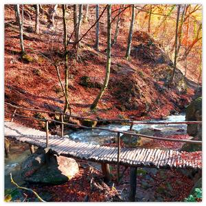Obraz mosta - jesenné cesta lesom (Obraz 30x30cm)