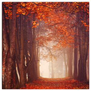 Jesenné les - obraz (Obraz 30x30cm)
