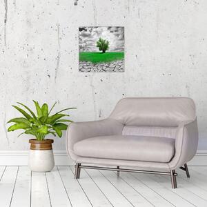 Zelený ostrov vo vyprahnutej krajine - obrazy do obývačky (Obraz 30x30cm)