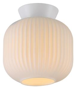 Schöner Wohnen 13574-16 - Stropné svietidlo NAMI 1xE27/25W/230V, priemer 20 cm, biele