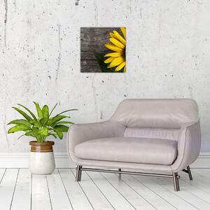 Obraz slnečnice na stole (Obraz 30x30cm)