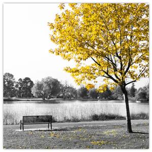 Obraz žltého stromu v prírode (Obraz 30x30cm)
