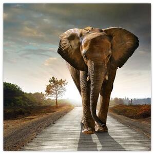 Obraz kráčajúceho slona (Obraz 30x30cm)