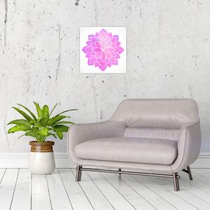 Obraz: ružová mandala (Obraz 30x30cm)