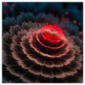 Obraz: žiara kvetu (Obraz 30x30cm)